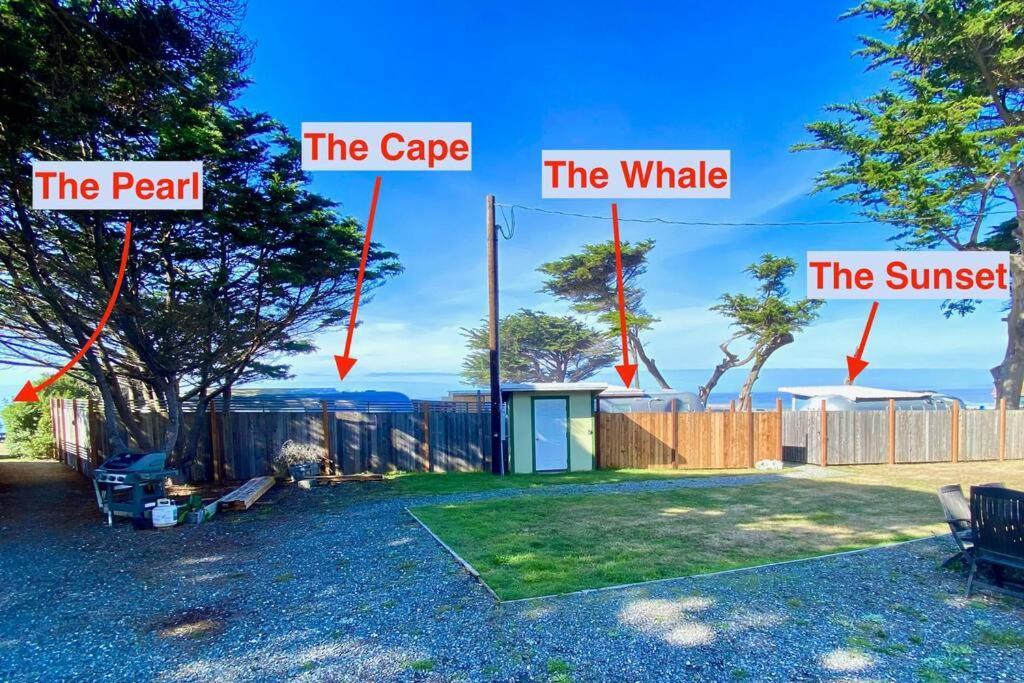 The Pearl Apartment Ophir Exterior foto